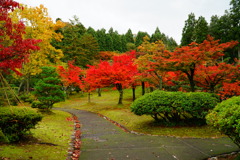 近所の庭園