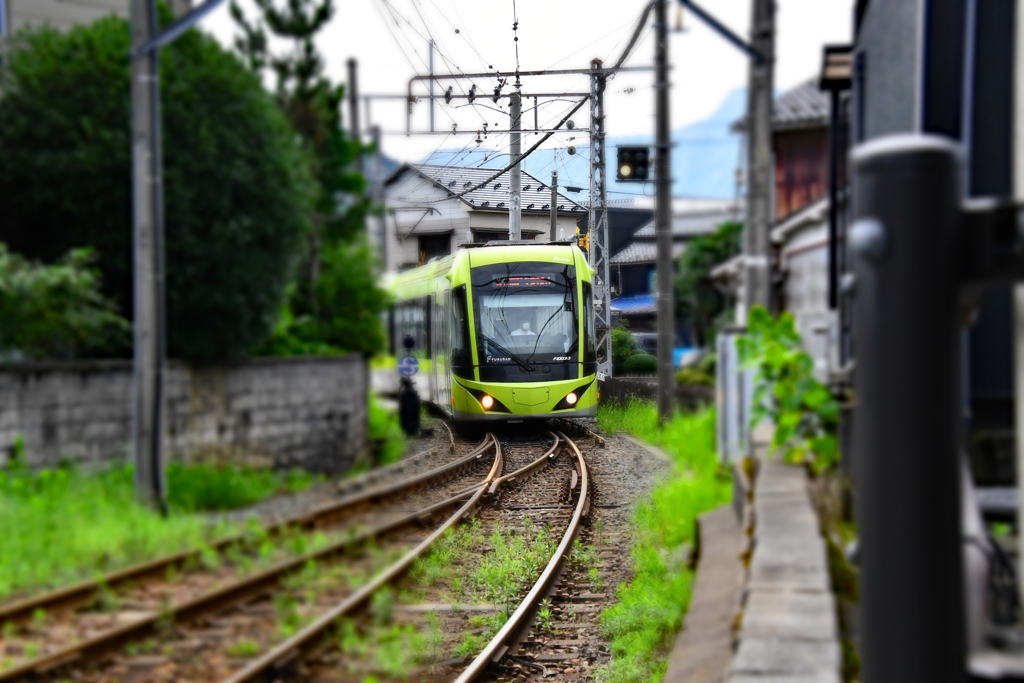 電車が来るよ