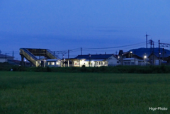 ローカル駅の灯