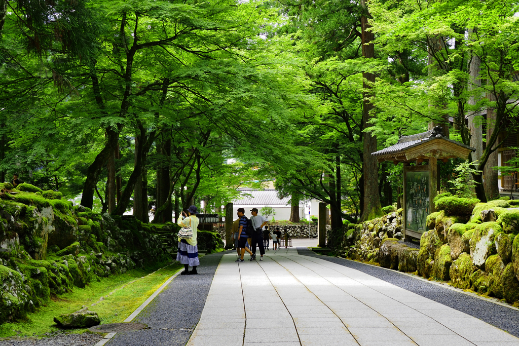 真夏の永平寺