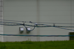 ネオ一眼対決FZ1000M2-400ｍｍ