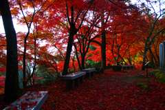 坂の上のベンチ
