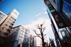 東京的天空