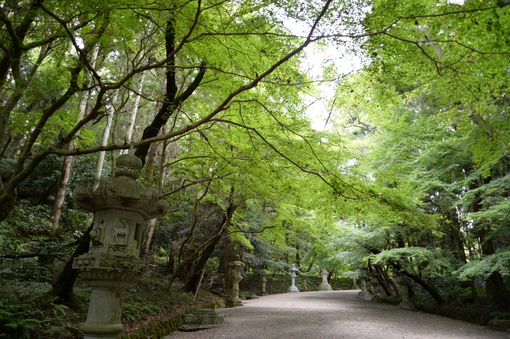 香取神宮にて