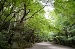 香取神宮にて