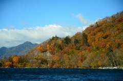 autumn colours
