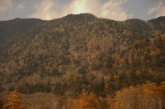 autumn colours