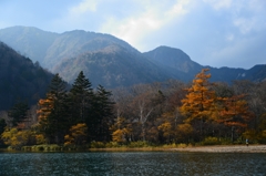 autumn colours