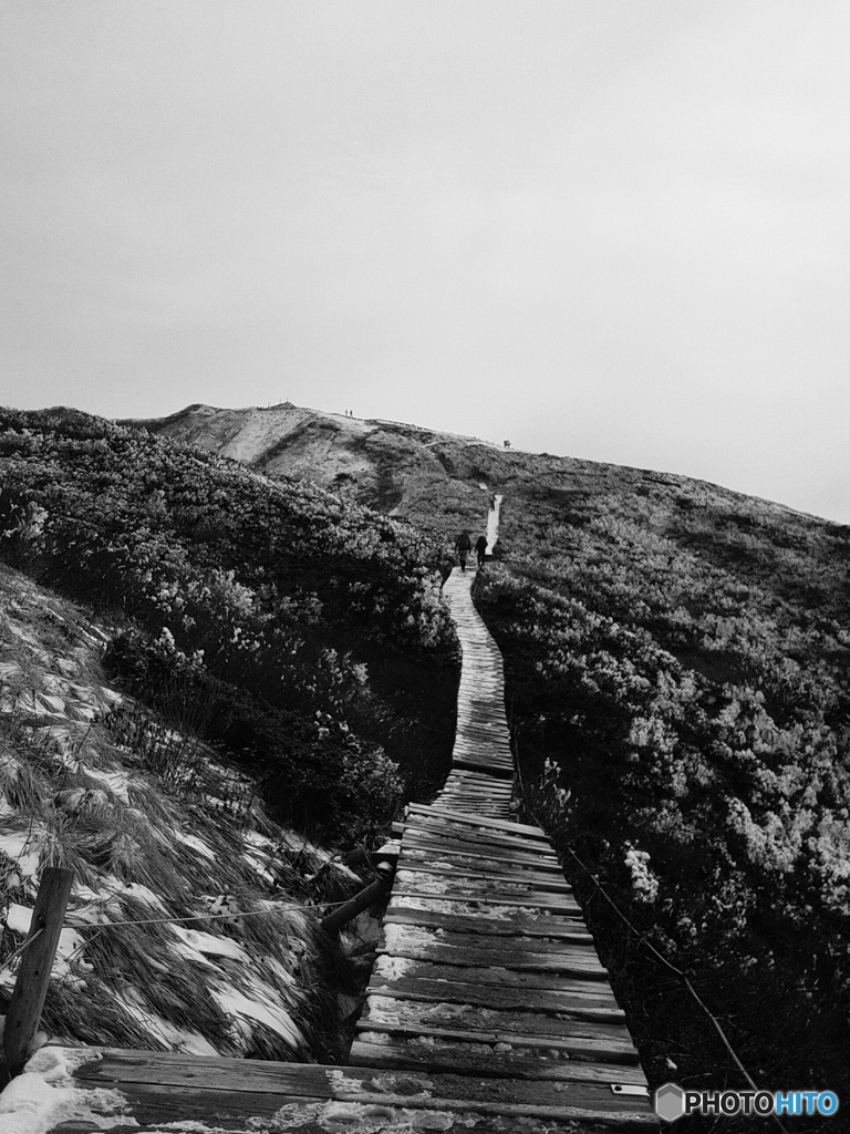 冬の大山