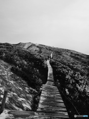 冬の大山