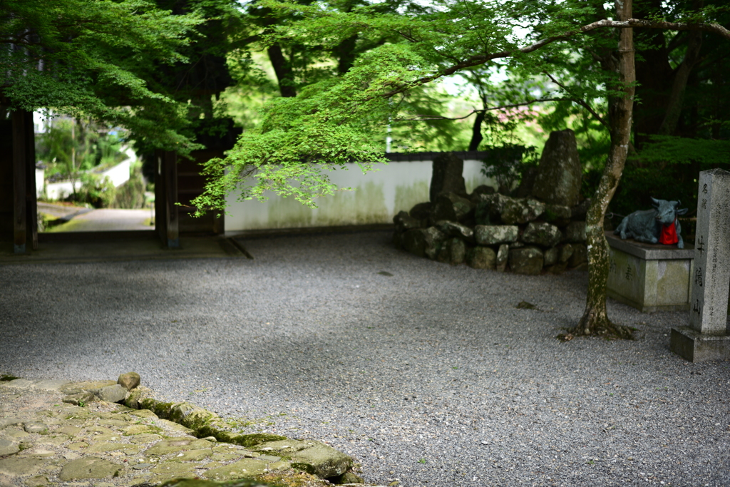 山の入り口