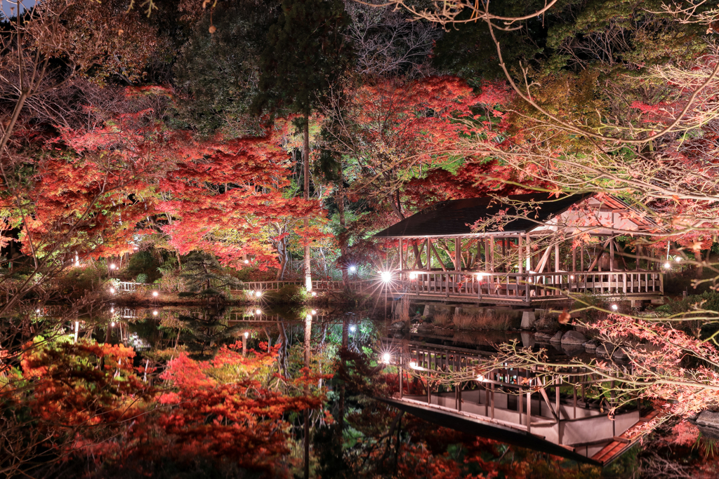 色彩の情景