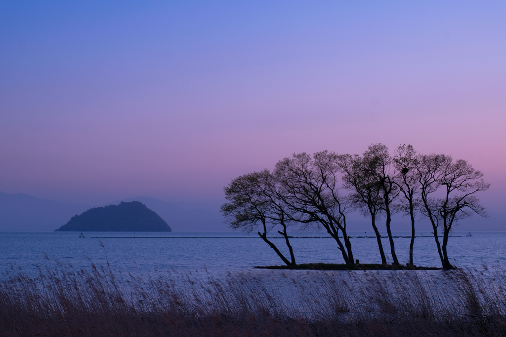 湖北の夕暮れ