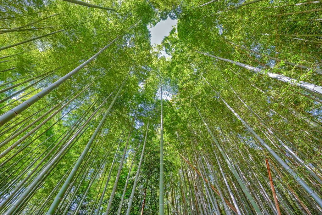 真っすぐに！！＼(^o^)／