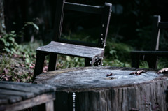 woodchair and table