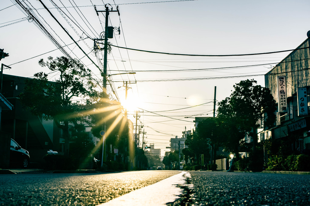 太陽と道