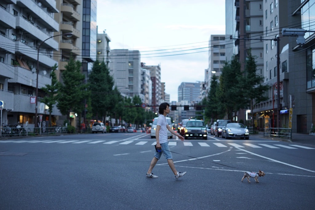いぬのさんぽ