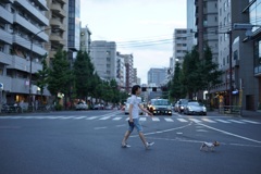 いぬのさんぽ