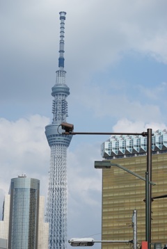 遠景