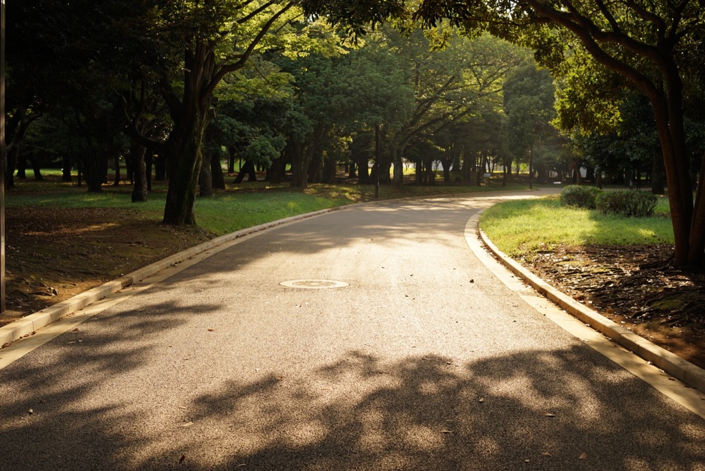 光る道
