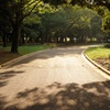 光る道