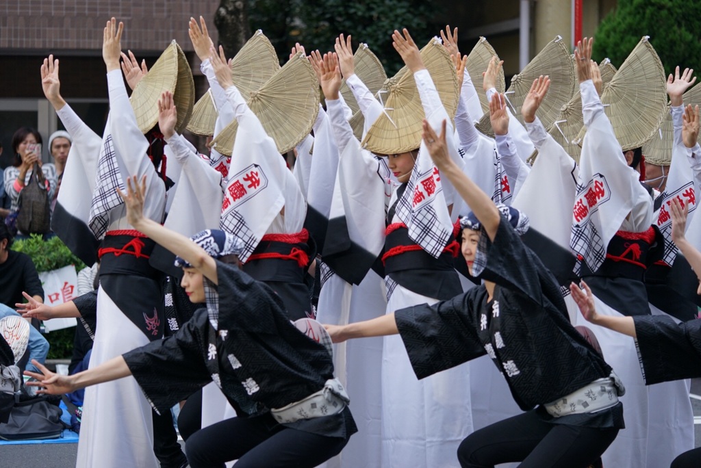 高円寺 阿波踊り②