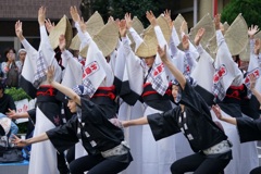 高円寺 阿波踊り②