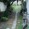 小径