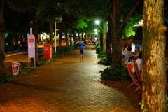 夜道