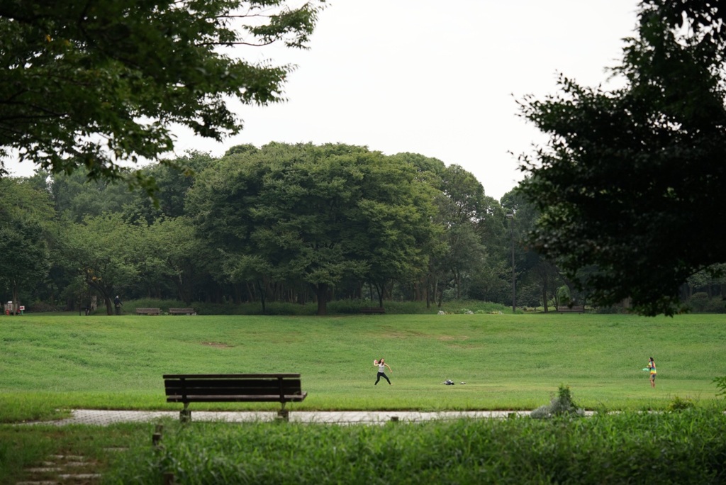 キャッチボール遠景