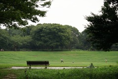 キャッチボール遠景