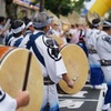 高円寺 阿波踊り③