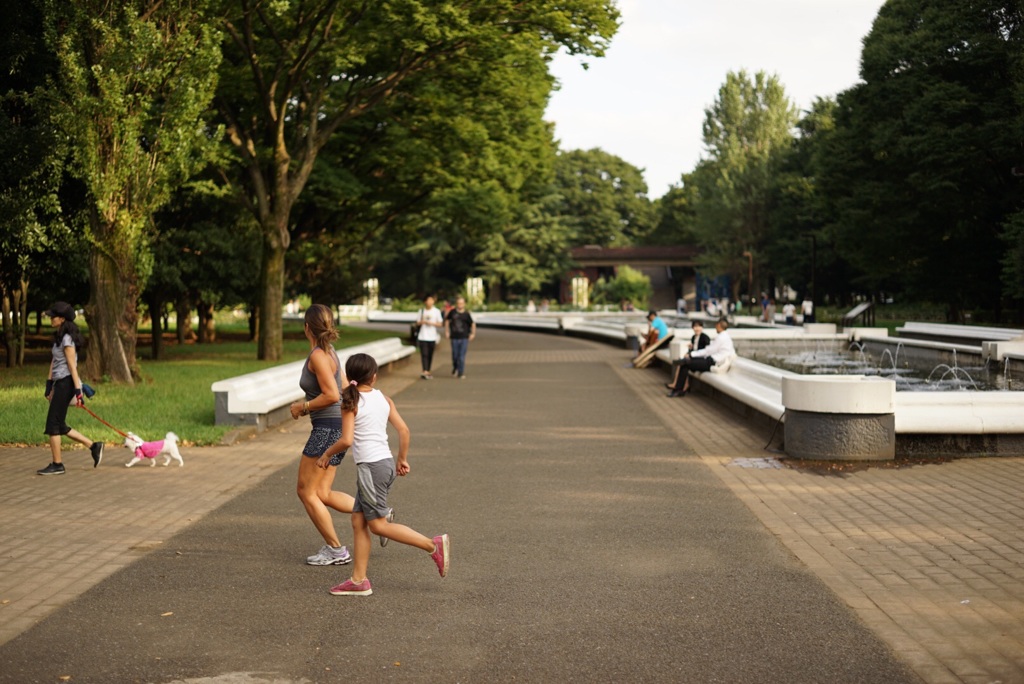 公園