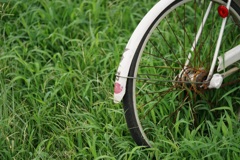 草と自転車
