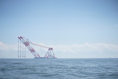 海