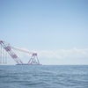海