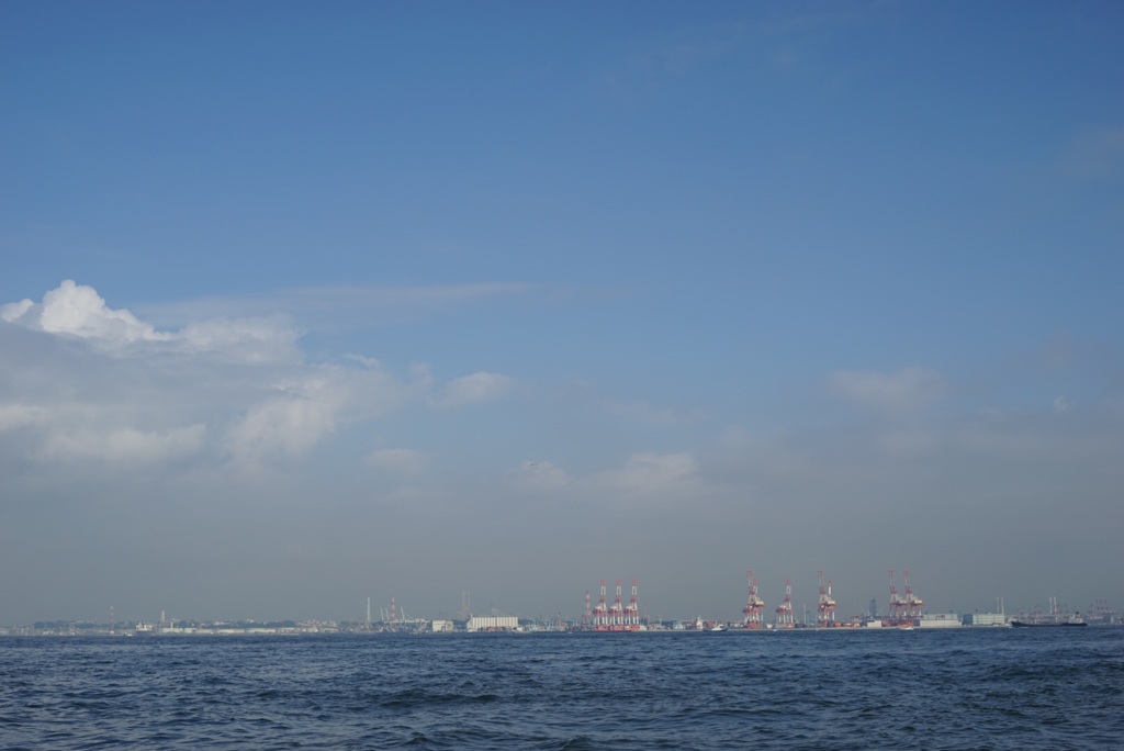 海