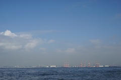海