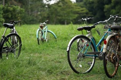 自転車