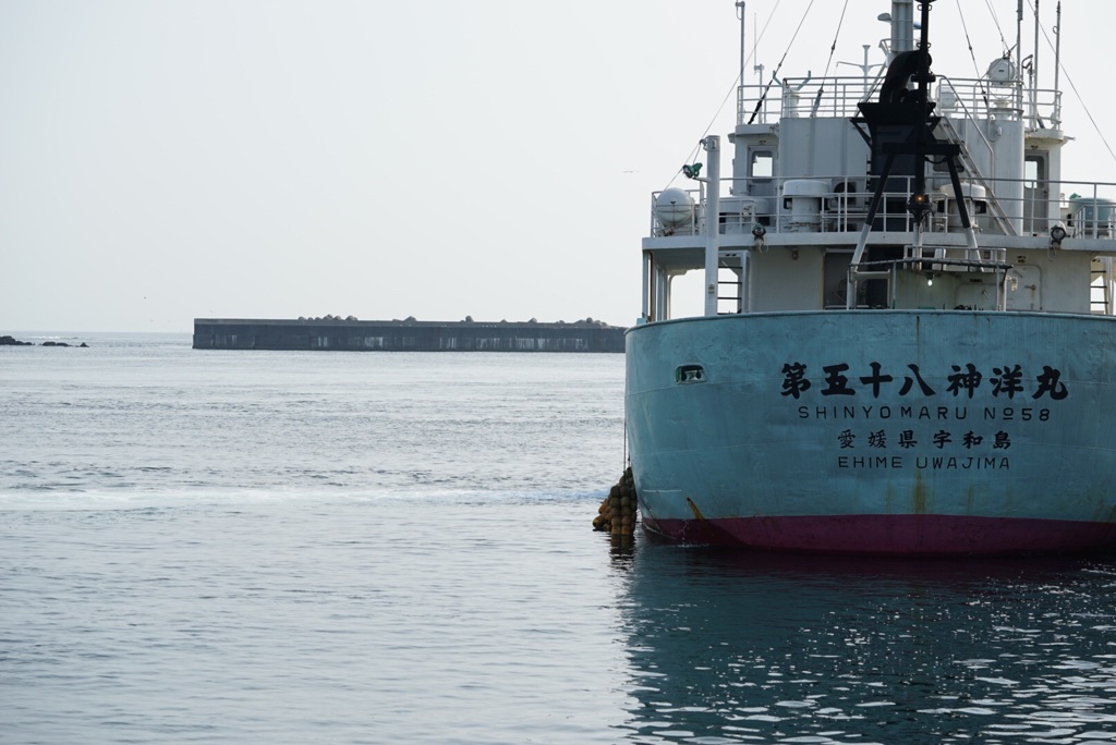 大きい船