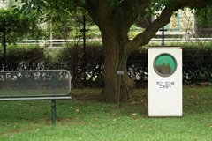 黄金長方形