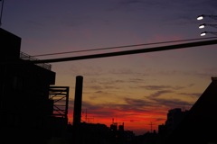 学芸大学の夕焼け