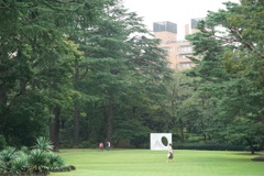曇りの庭園