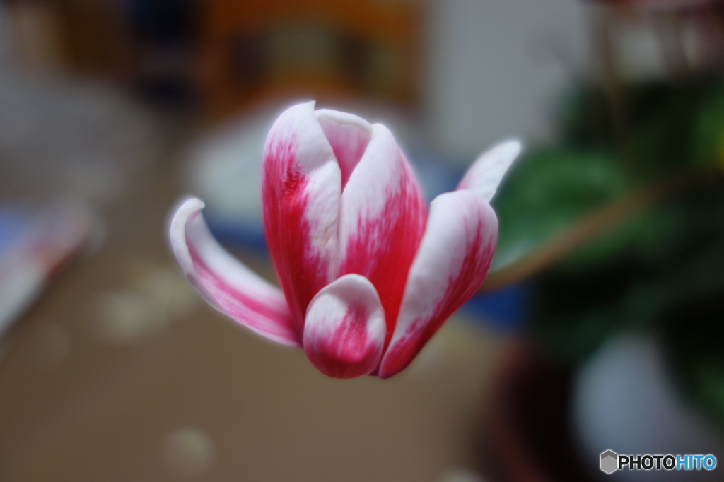 DSC00031