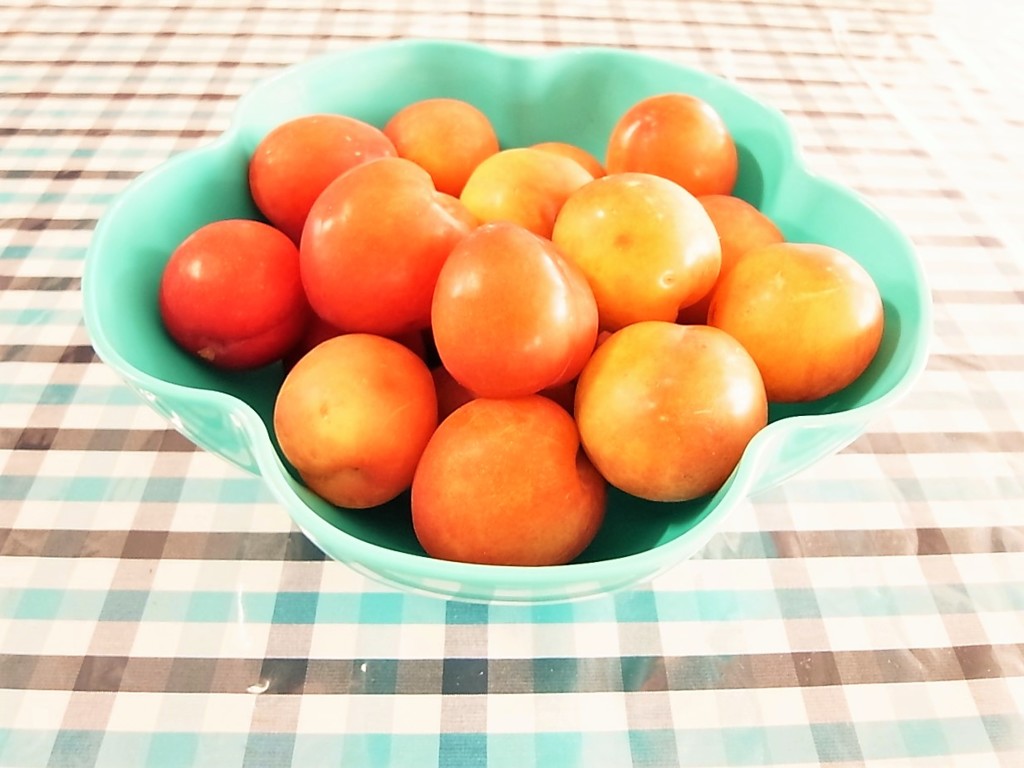 李