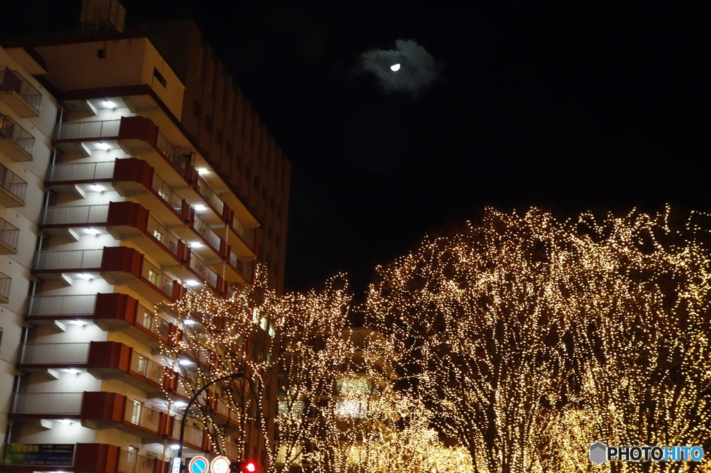 DSC00041