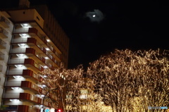 DSC00041