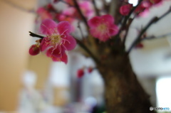 DSC00071