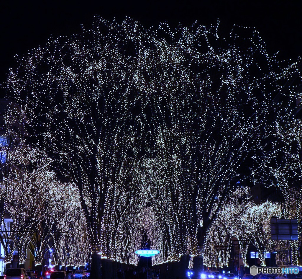 DSC00040