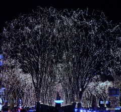 DSC00040